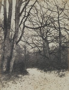 [Fontainebleau Ormanı], yak. 1860. by Eugène Cuvelier