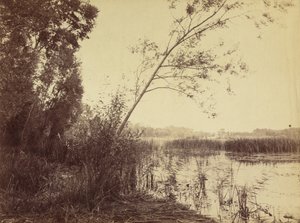 Marais de Fampoux, 1860
