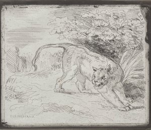 kapana kısılmış kaplan by Eugène Delacroix