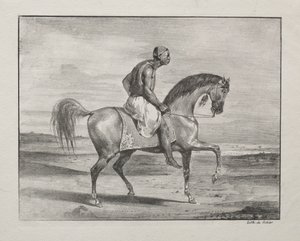 at sırtında afrika by Eugène Delacroix