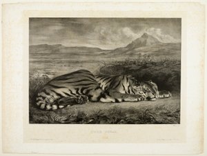 Bengal kaplanı by Eugène Delacroix