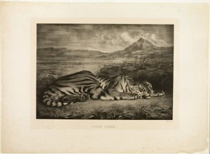 Bengal kaplanı by Eugène Delacroix