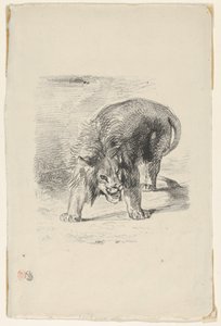 Ayakta Duran Aslan, 1833., 1833. by Eugène Delacroix