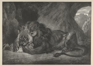 Atlas Dağları Aslanı, 1829-30., 1829-30. by Eugène Delacroix
