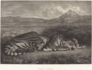 Kraliyet Kaplanı (Tigre Royal) by Eugène Delacroix