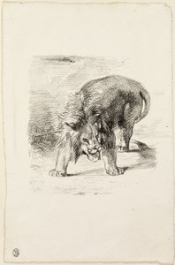 duran aslan by Eugène Delacroix