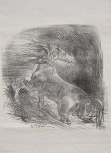 Yabani At veya Suyu Terk Eden Korkmuş At by Eugène Delacroix