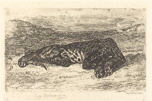 Çölde Uyuyan Kaplan by Eugène Delacroix