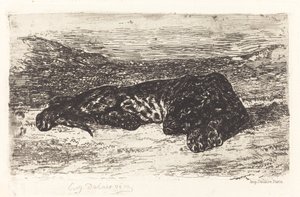 Çölde Uyuyan Kaplan by Eugène Delacroix
