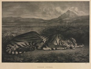 kraliyet kaplanı by Eugène Delacroix