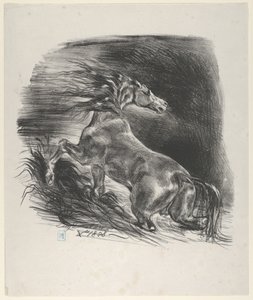 Vahşi At, 1828., 1828. by Eugène Delacroix