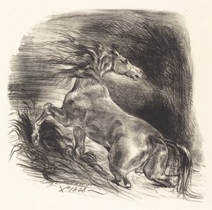 Yabani At Sudan Çıkıyor Cheval sauvage, 1828. by Eugène Delacroix