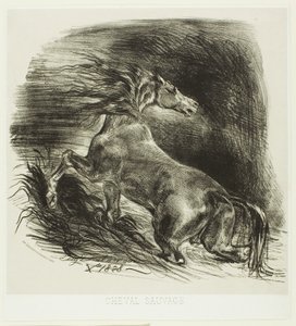 Suyu Terk Eden Yabani At veya Korkmuş At by Eugène Delacroix