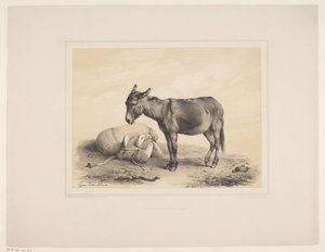 Rustende pakezel Diverse dieren (dizi başlığı) Animal Studies (dizi başlığı) by Eugène Verboeckhoven