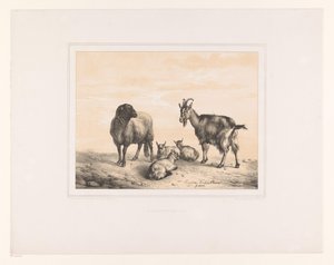 Koyun, keçi ve üç oğlak Çeşitli hayvanlar (dizi adı) Études d'Animaux (dizi adı)