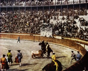 İspanyol boğa güreşi (fotoğraf) by European Photographer