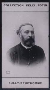 Armand Sully Prudhomme (1839) (s/b fotoğraf) by European Photographer