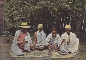 Hovas değiştiriciler by European Photographer