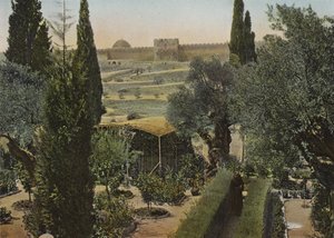 Gethsemane Bahçesi by European Photographer
