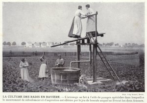 Bavyera