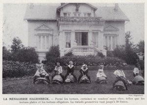 La Menagerie Hagenbeck (s/b fotoğraf) by European Photographer