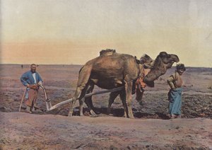 İşçi Tekes by European Photographer