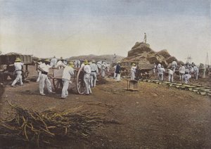 Les Condamnes veya Travail, Noumea by European Photographer