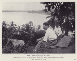 Günümüzün Livingstone