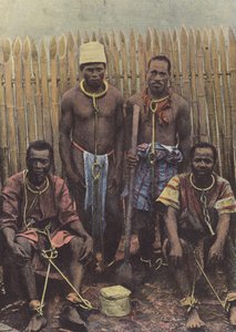 Türler Düşmanlar, Mahkumlar Aux Fers by European Photographer