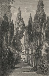 Allee Du Generalife (gravür) by European School