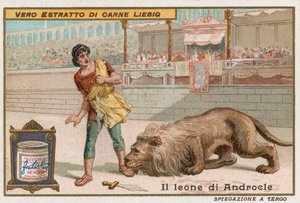 Androcles ve aslan by European School