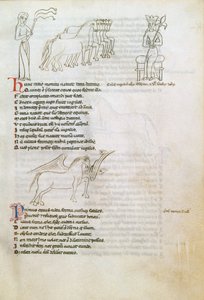 Bestiary: The Horse (parşömen üzerine mürekkep) by European School