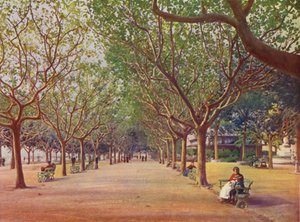 Cannes, Les Allees (renkli taş baskı) by European School