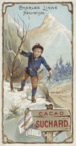 İsveçli botanikçi ve zoolog Carl Linnaeus, çocukken by European School