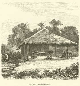 Brezilya kutusu (gravür) by European School