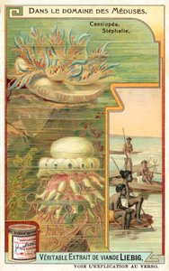 Cassiopeia ve Stephalia (chromolitho) by European School
