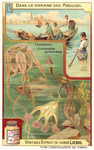 Charybdis ve Piramidal Lucernia (chromolitho) by European School
