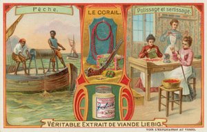 Mercan by European School