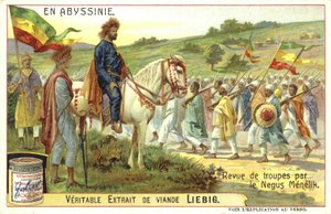 Etiyopya İmparatoru II. Menelik askerleri gözden geçiriyor by European School