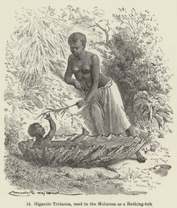 Moluccas