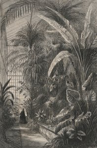 Paris Müzesi