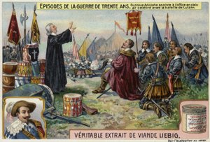 İsveçli Gustavus Adolphus, Lutzen Savaşı