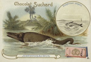 Ichthyosaur ve ortak yunus by European School