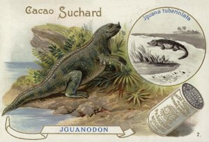 İguanodon ve İguana Tüberkülata by European School