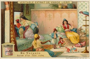 Zengin bir Türk'ün hareminde by European School