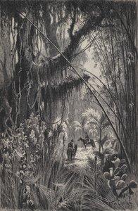 Salta