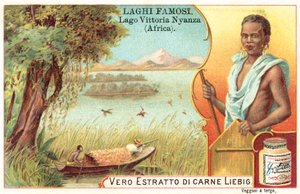 Victoria Gölü, Afrika (chromolitho) by European School
