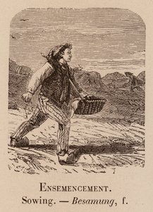 Örnek Kelime: Ekim; Ekme; Besamung (gravür) by European School