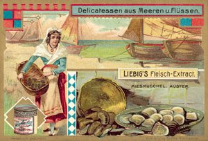Midye ve istiridye (chromolitho) by European School