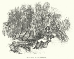 Napolyon, St Helena